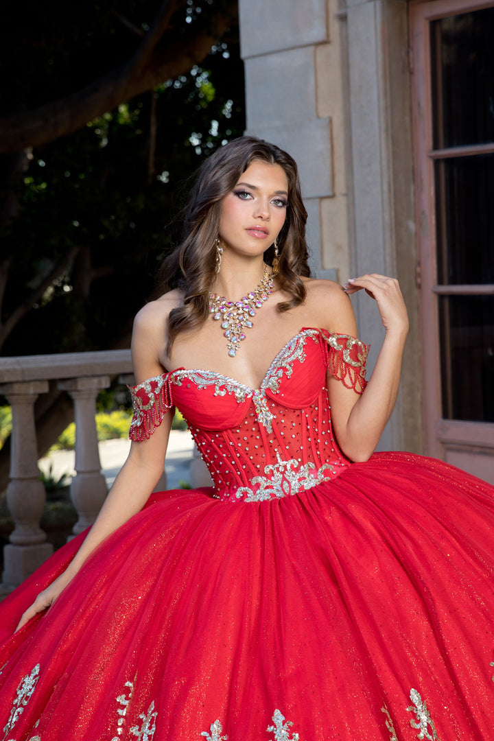 Off Shoulder Long Sleeve Ball Gown by Petite Adele PQ1065