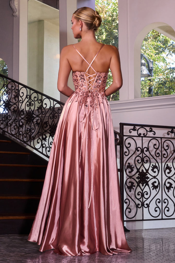 Applique Satin Sleeveless A-line Gown by Ladivine C179
