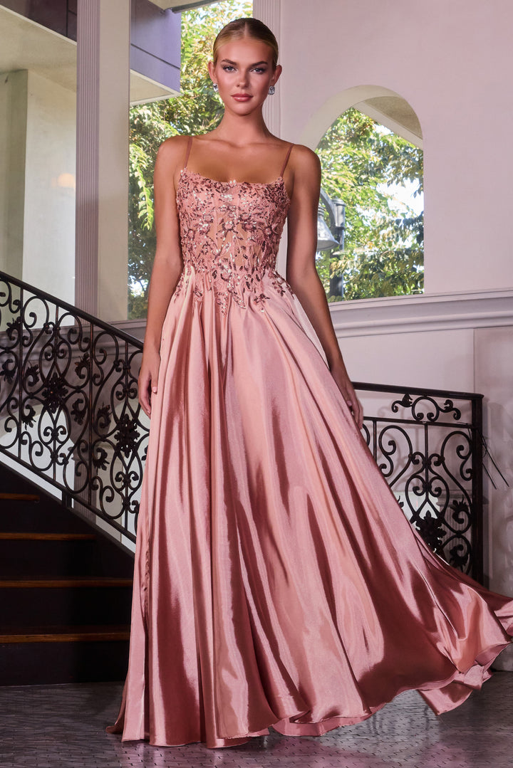 Applique Satin Sleeveless A-line Gown by Ladivine C179