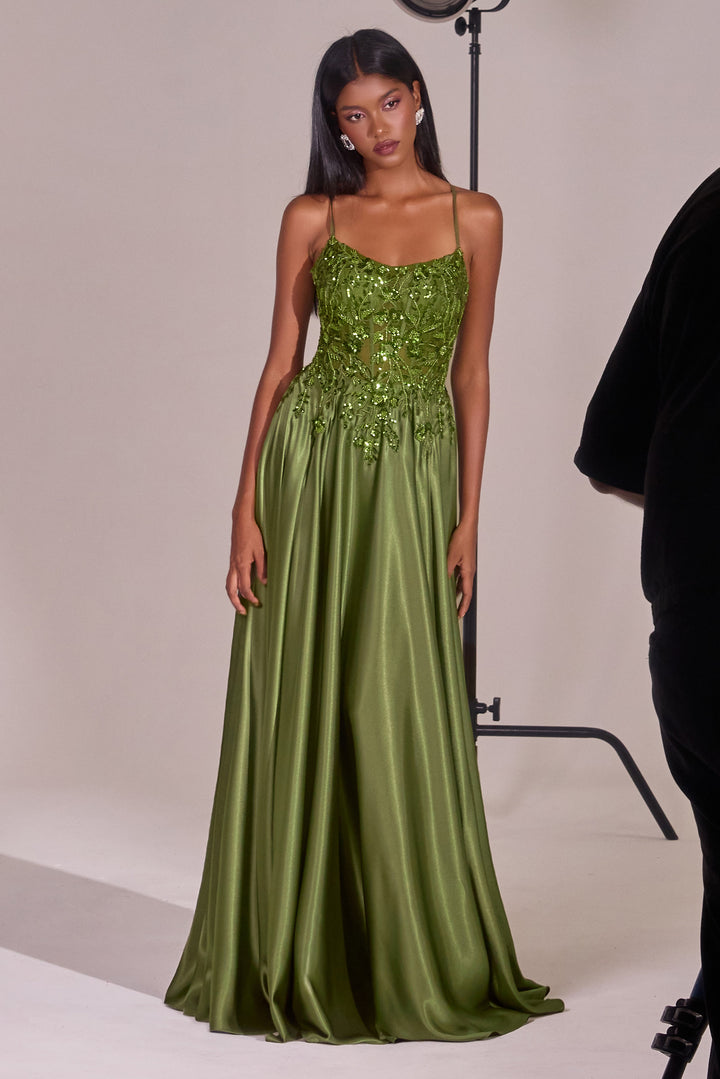 Applique Satin Sleeveless A-line Gown by Ladivine C179