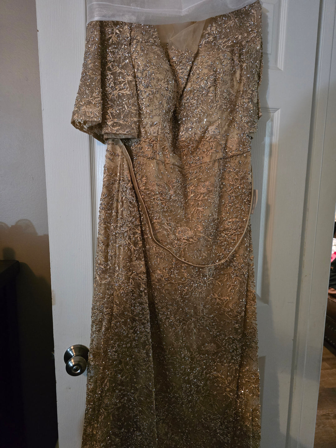 Lace Fitted Mid-Sleeve Gown by Ladivine CB149