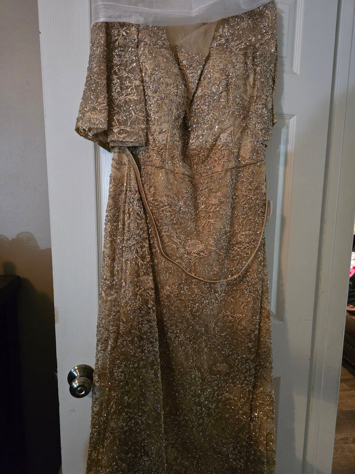 Lace Fitted Mid-Sleeve Gown by Ladivine CB149