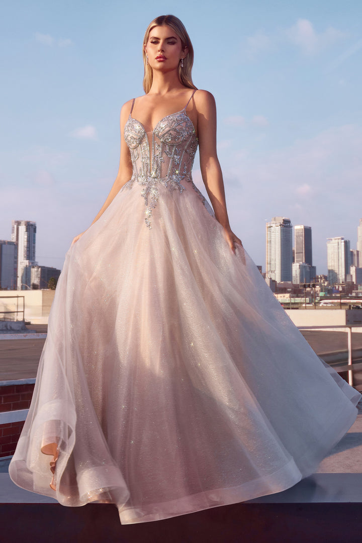 Applique Sleeveless Tulle Gown by Ladivine CC0881