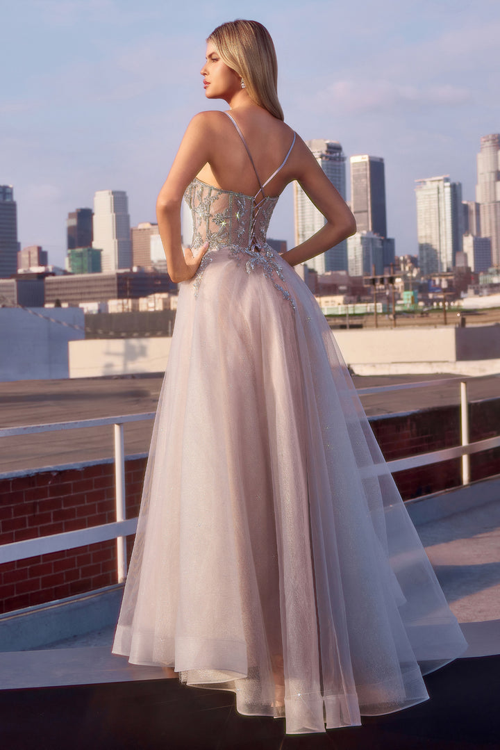 Applique Sleeveless Tulle Gown by Ladivine CC0881