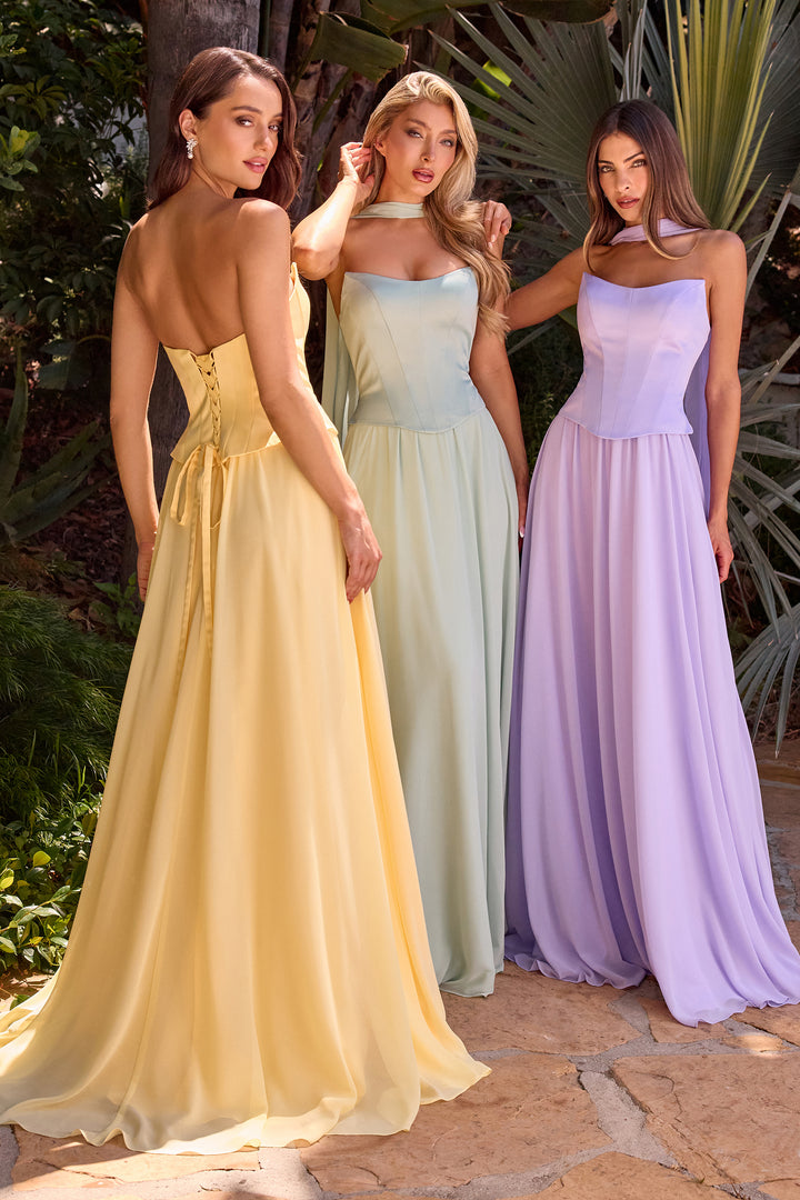 Chiffon Strapless A-line Gown by Ladivine CD386