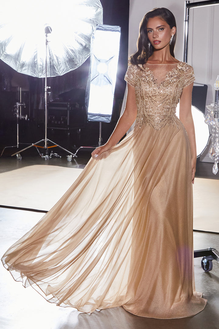 Beaded Short Sleeve A-line Gown by Ladivine CL11