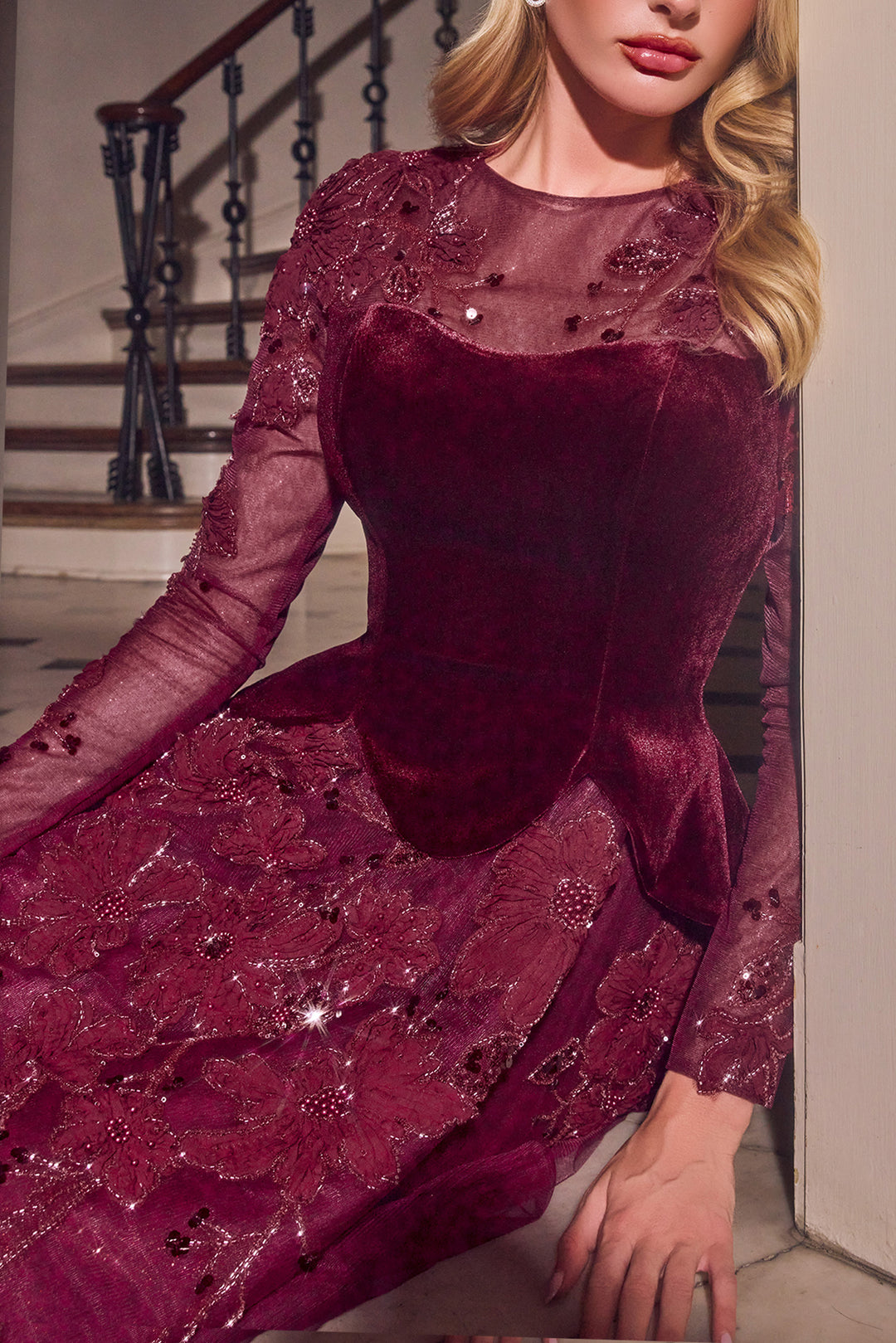 Velvet Tulle Long Sleeve A-line Gown by Ladivine CM394