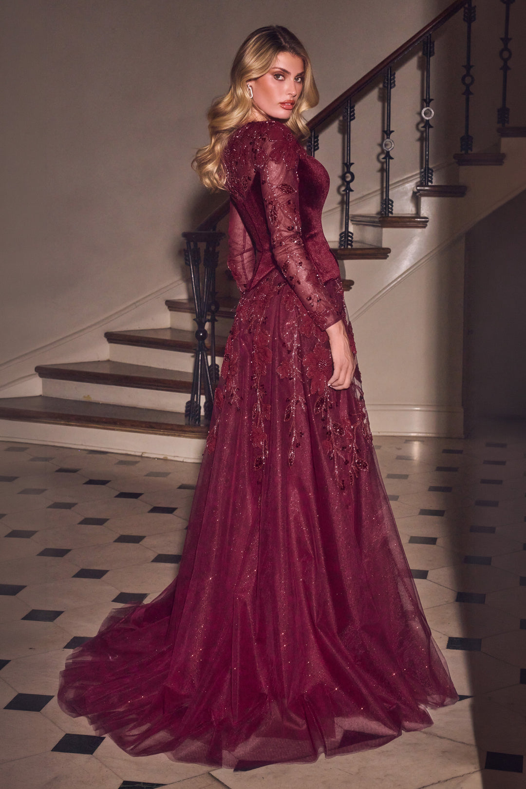 Velvet Tulle Long Sleeve A-line Gown by Ladivine CM394