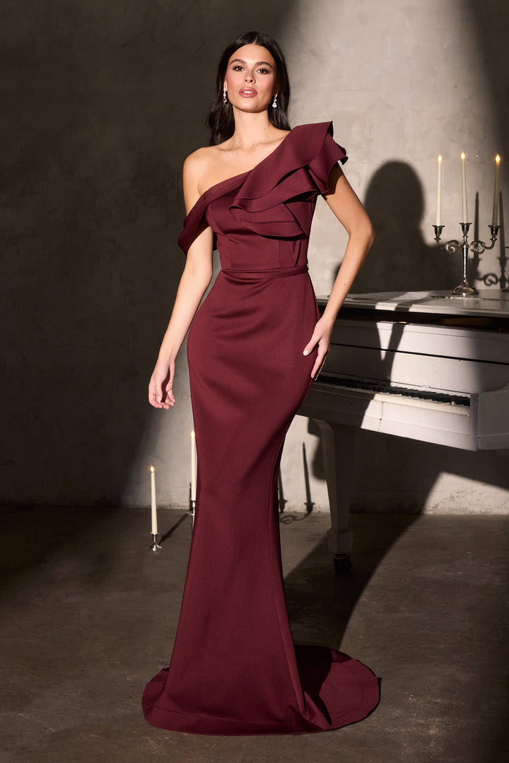 Ruffled Fitted One Shoulder Gown by Ladivine CR886