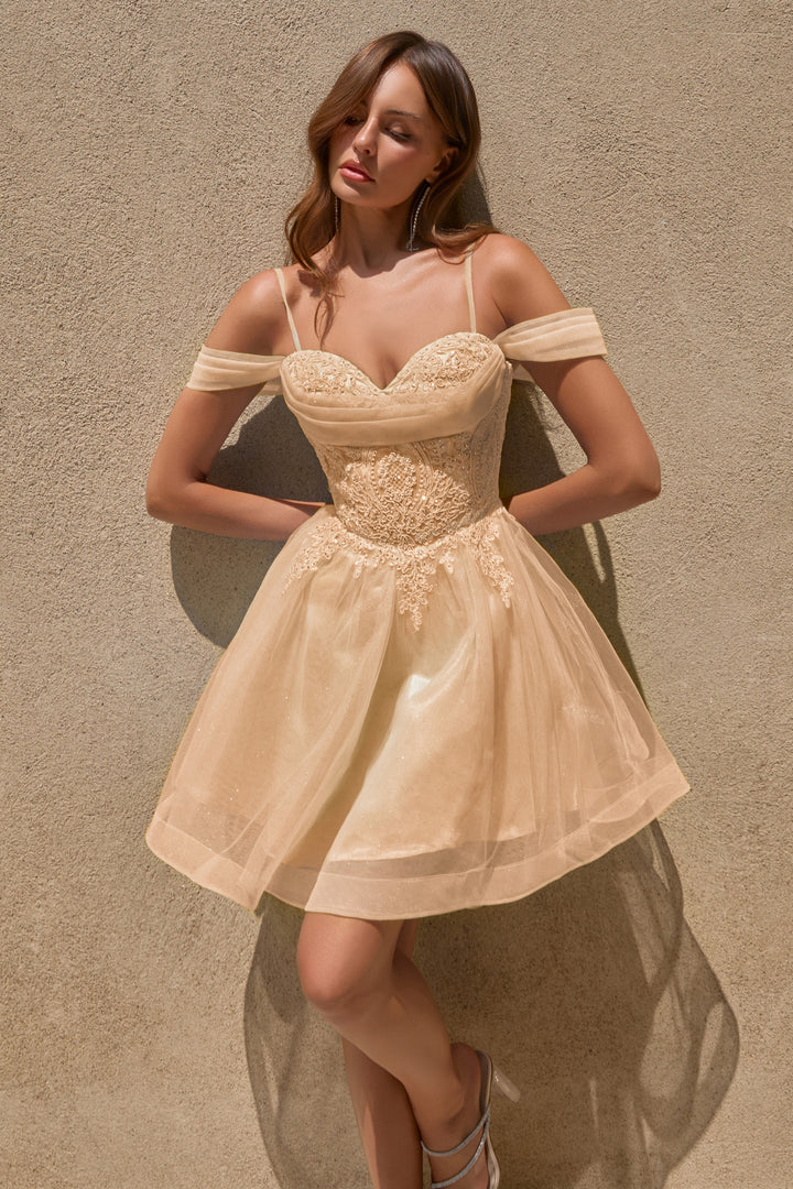 Short Cold Shoulder A-line Dress by Ladivine CY024