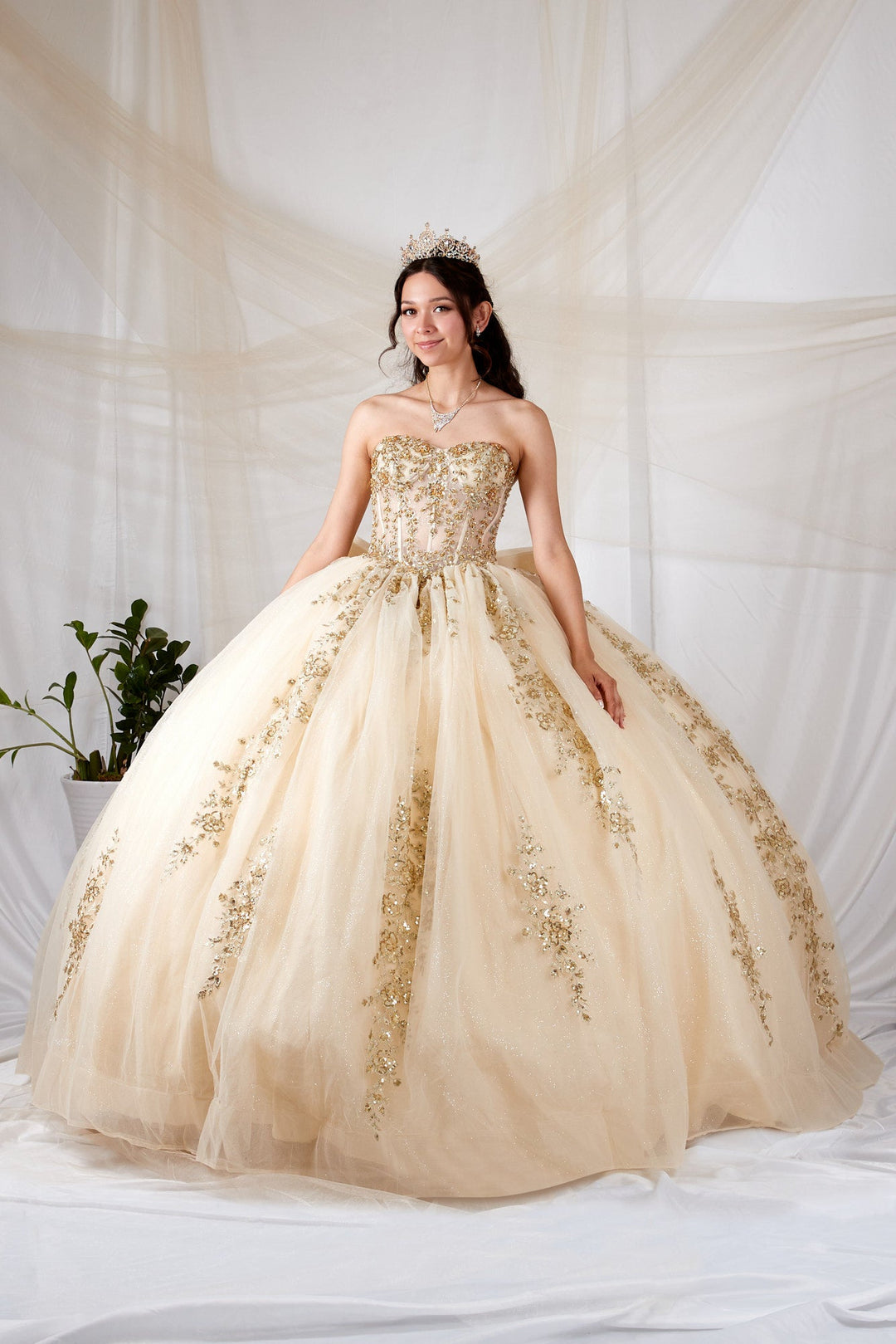 Applique Strapless Ball Gown by Calla SCL-30041