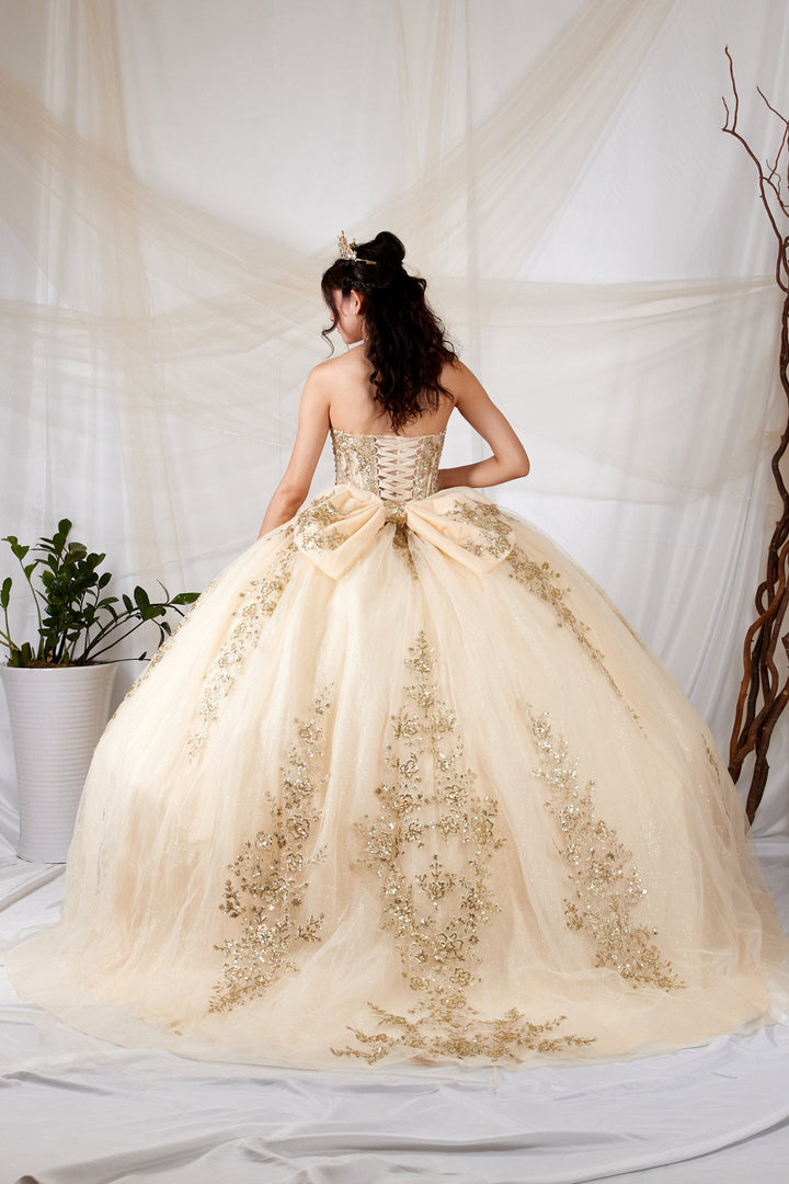 Applique Strapless Ball Gown by Calla SCL-30041