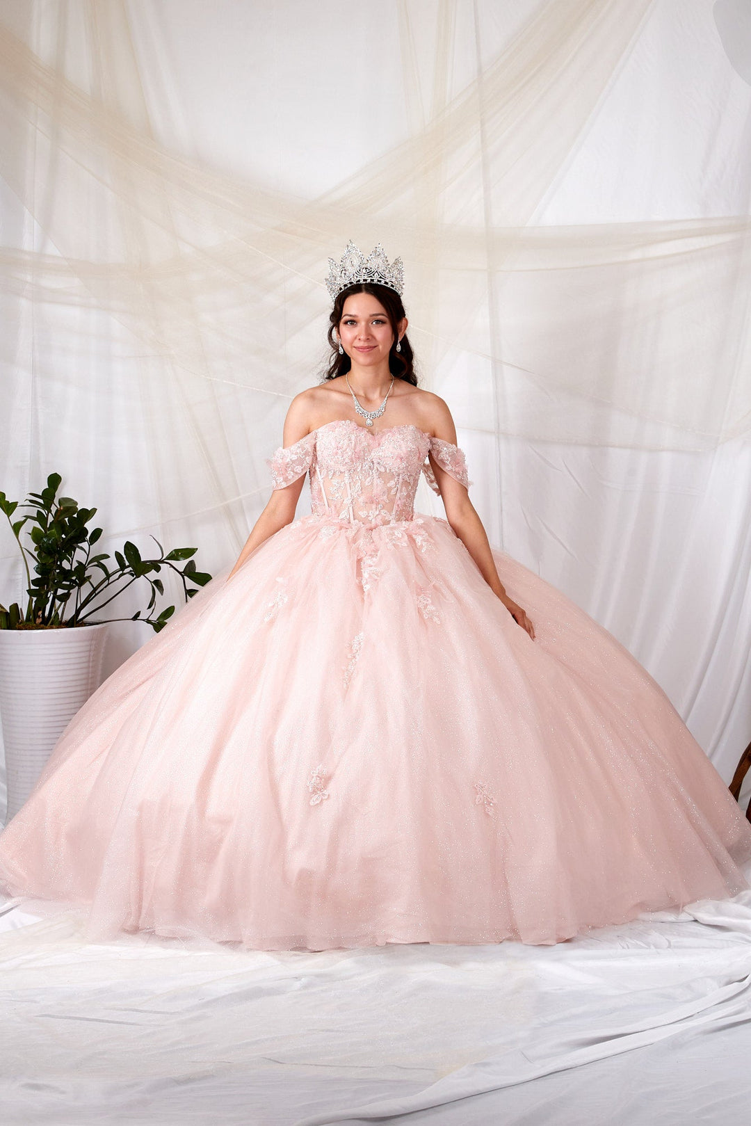 3D Butterfly Off Shoulder Ball Gown by Calla SCL-30015