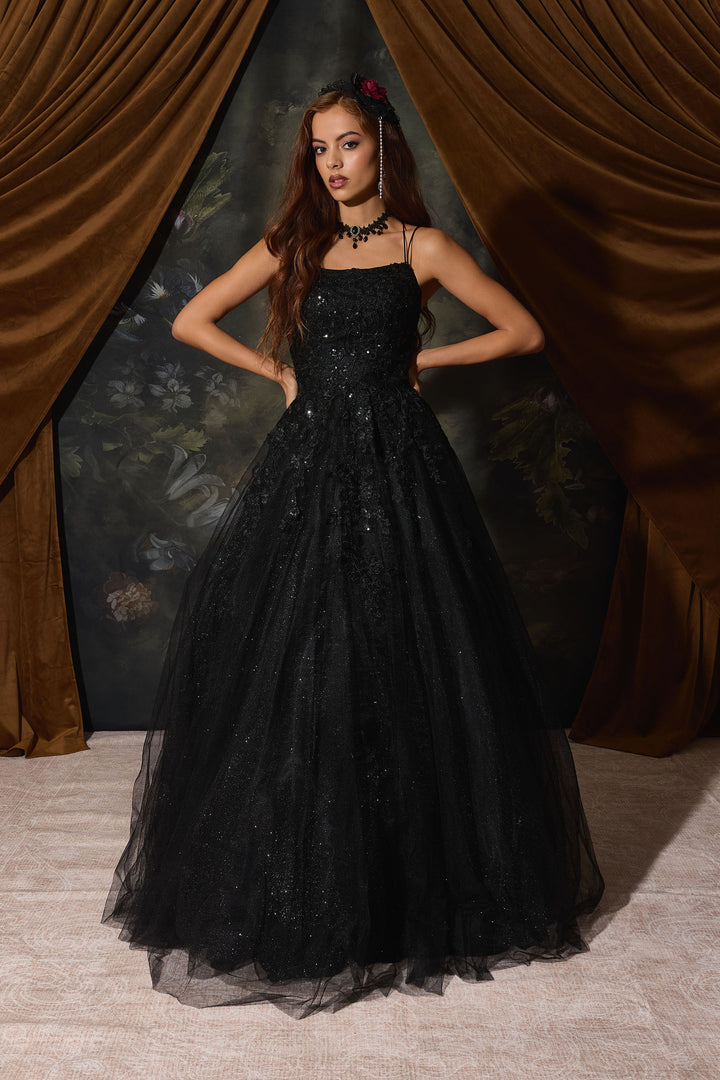 Applique Sleeveless A-line Gown by Eureka EK197