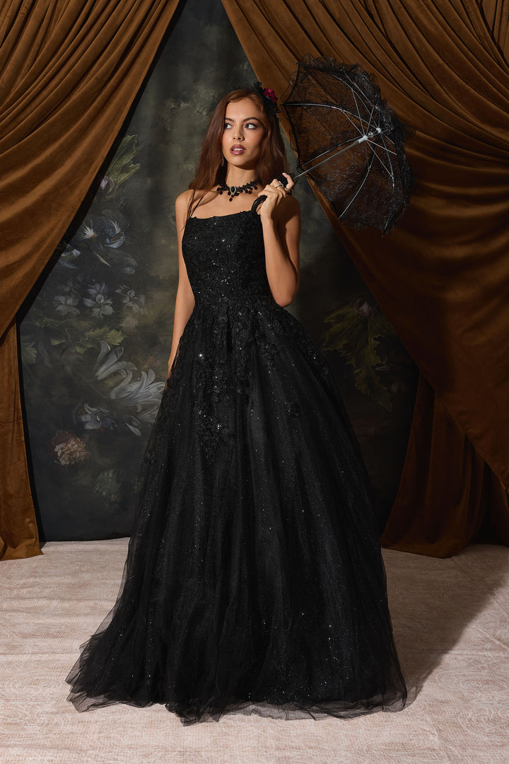 Applique Sleeveless A-line Gown by Eureka EK197