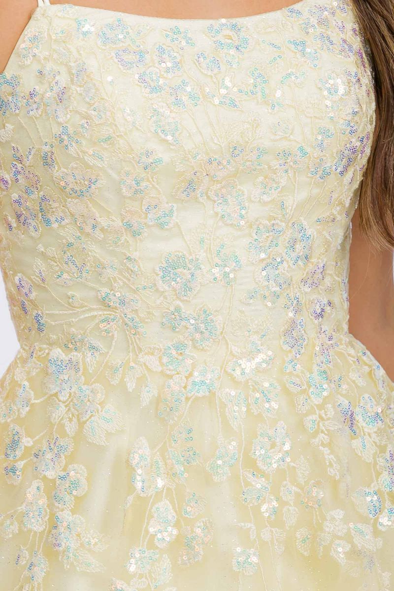 Applique Sleeveless A-line Gown by Eureka EK197