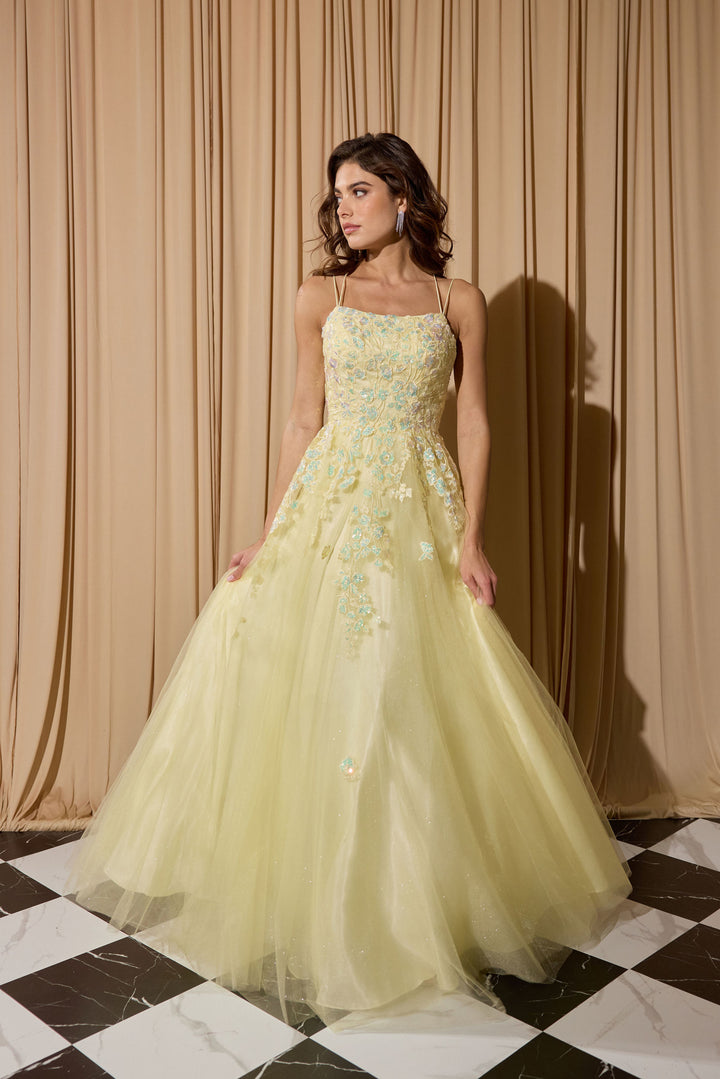 Applique Sleeveless A-line Gown by Eureka EK197