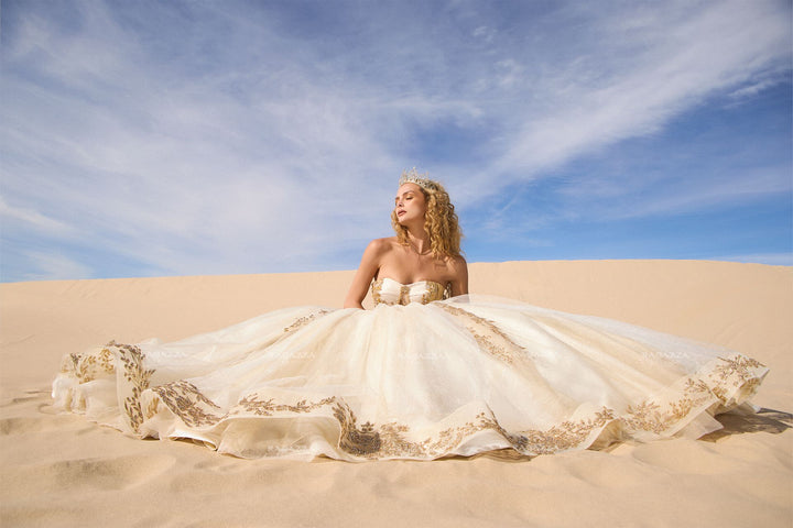Strapless Quinceanera Dress by Ragazza EV84-684