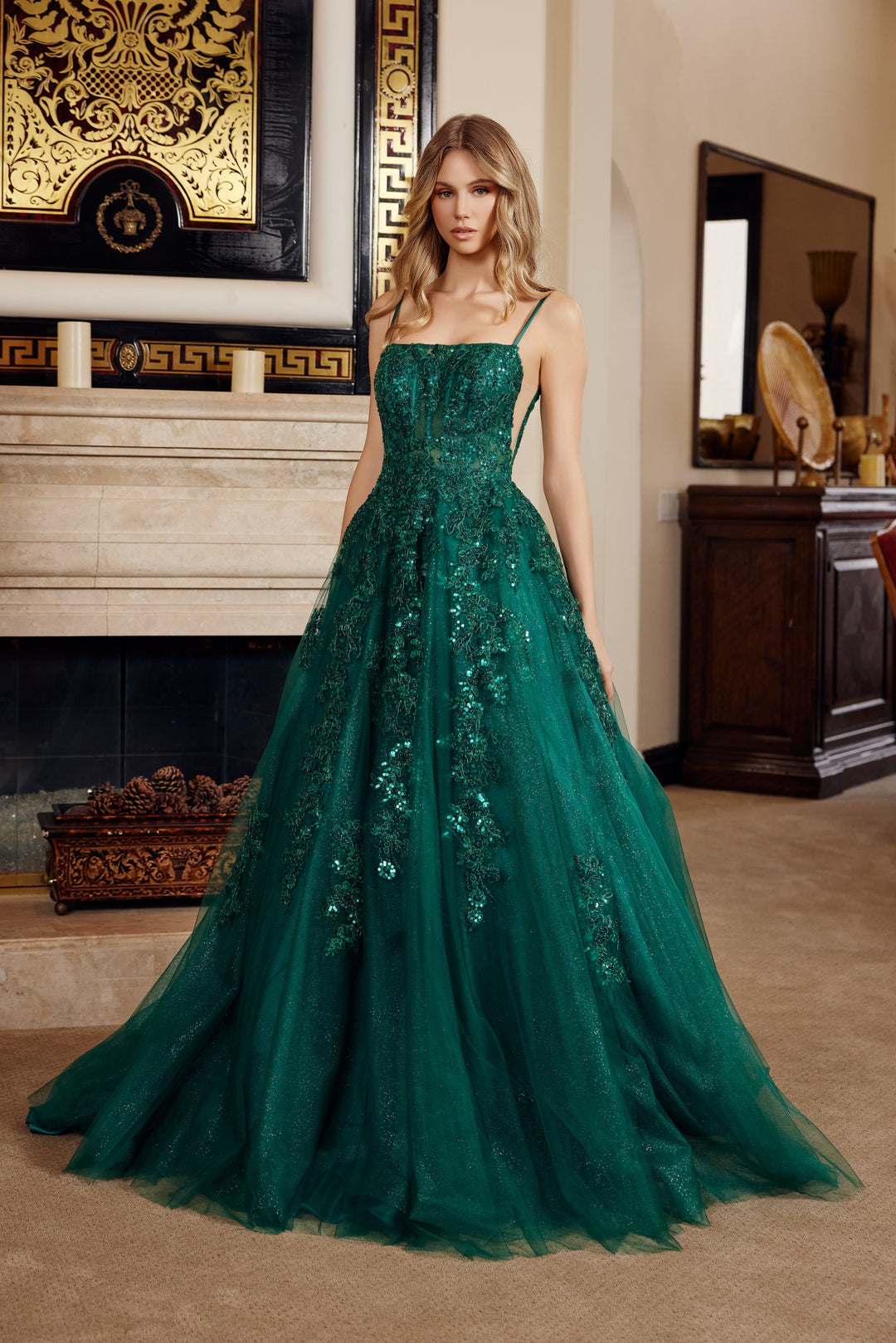 Applique Sleeveless Ball Gown by Nox Anabel H1880