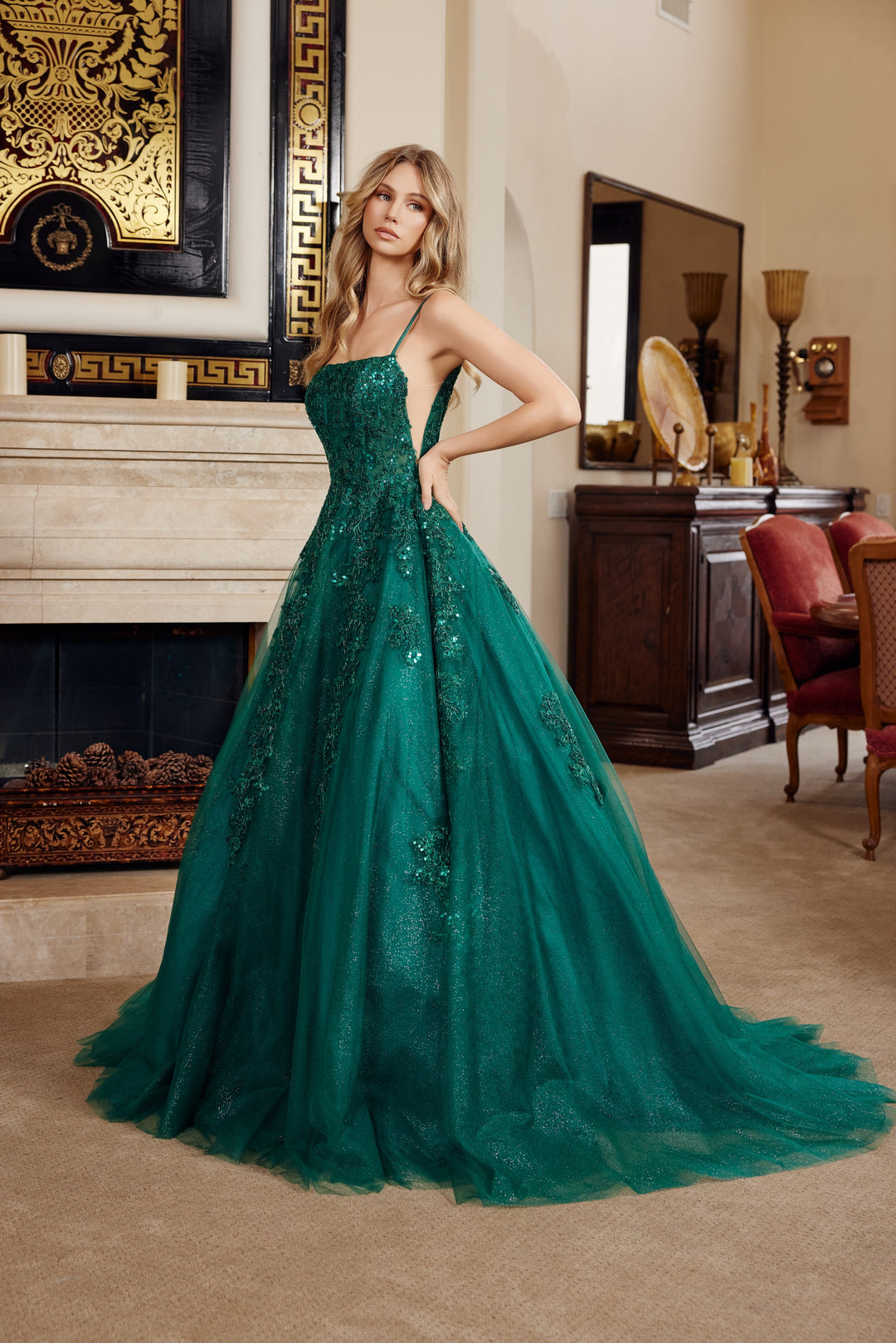 Applique Sleeveless Ball Gown by Nox Anabel H1880