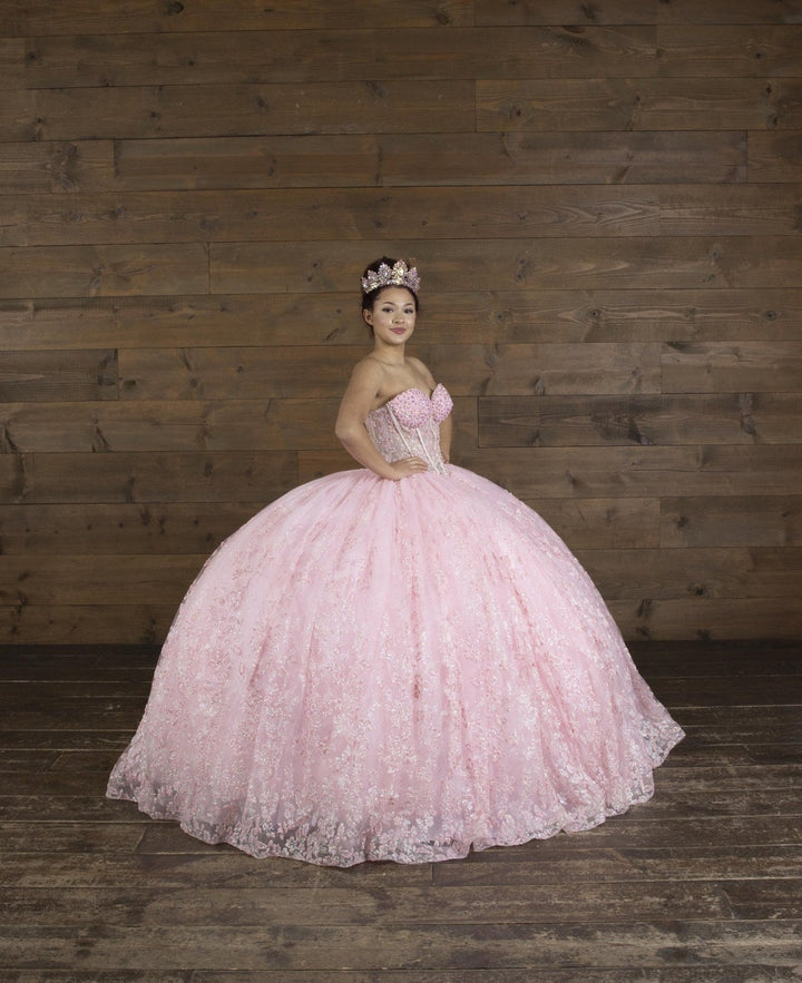Applique Strapless Corset Ball Gown by Calla SCL-30043