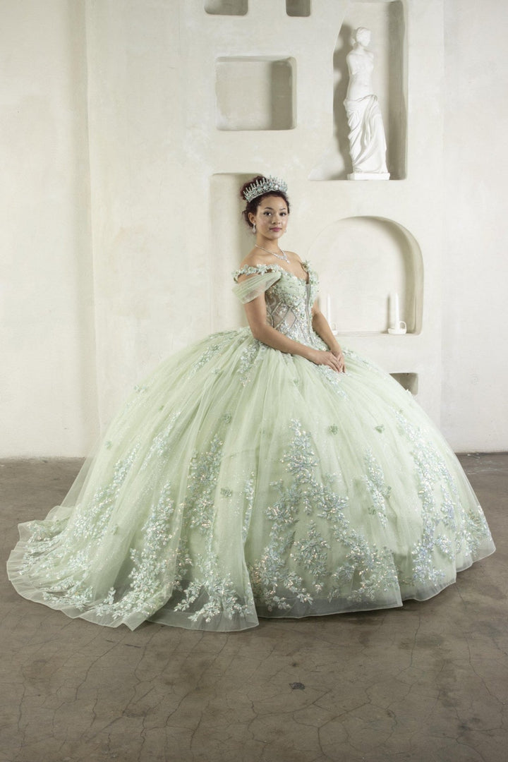 3D Floral Off Shoulder Ball Gown by Calla SCL-30042