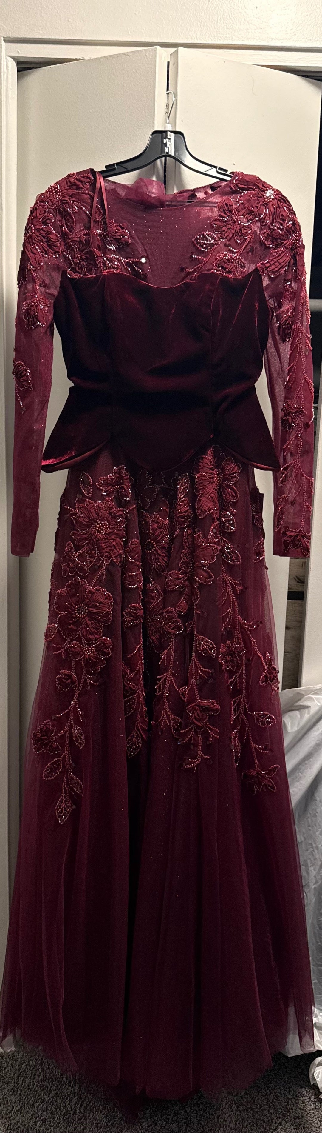 Velvet Tulle Long Sleeve A-line Gown by Ladivine CM394