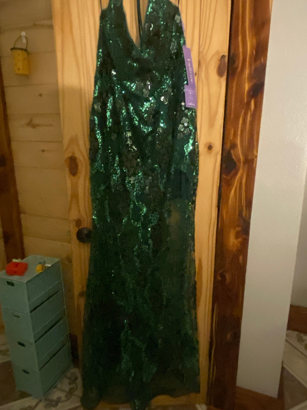 Fitted Embellished Sheer Skirt Slit Gown by Ladivine CC2292