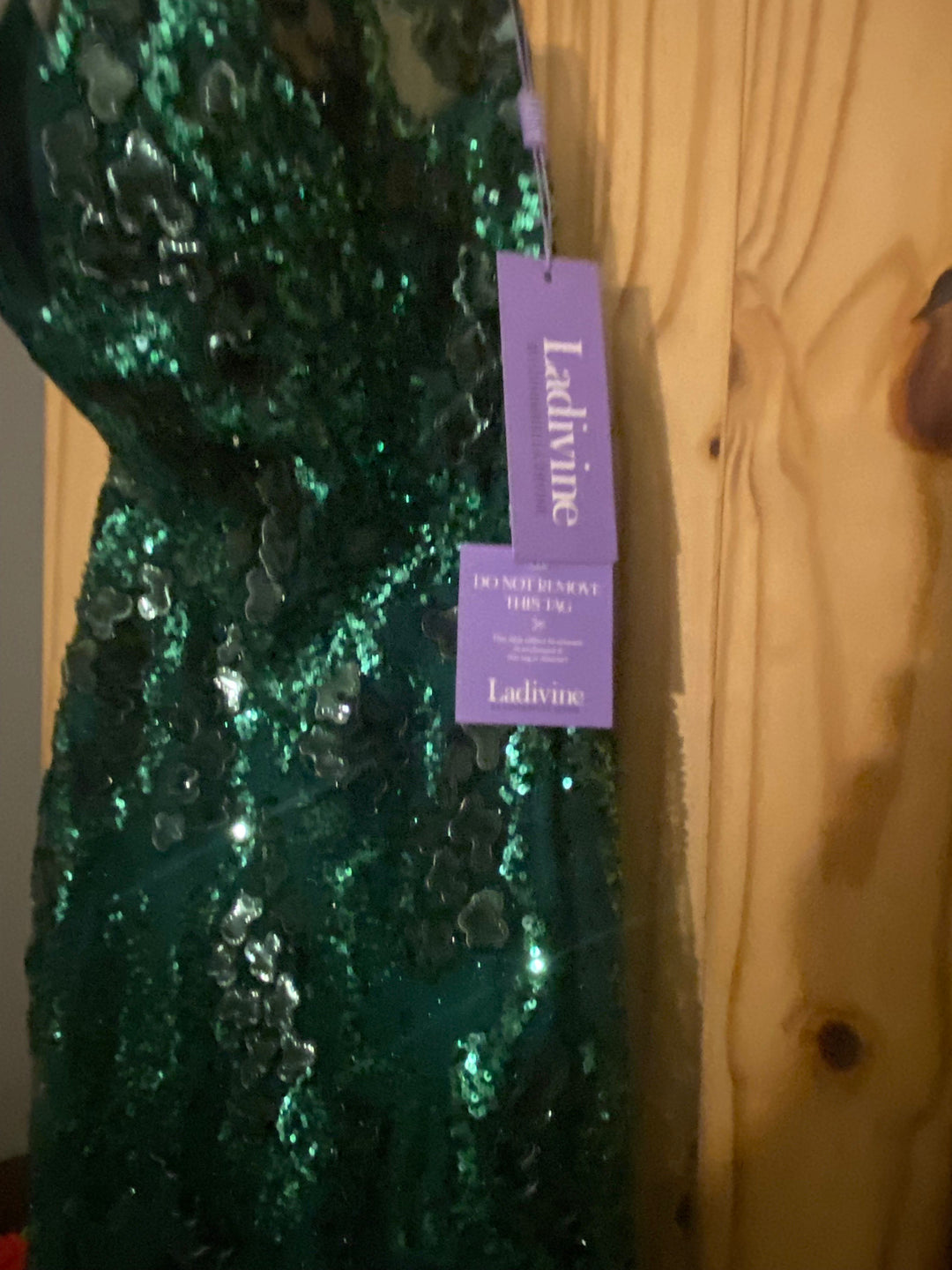 Fitted Embellished Sheer Skirt Slit Gown by Ladivine CC2292