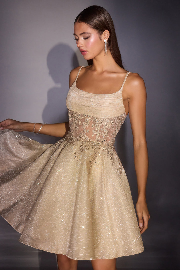 Glitter Short Sleeveless A-line Dress by Ladivine KV1152