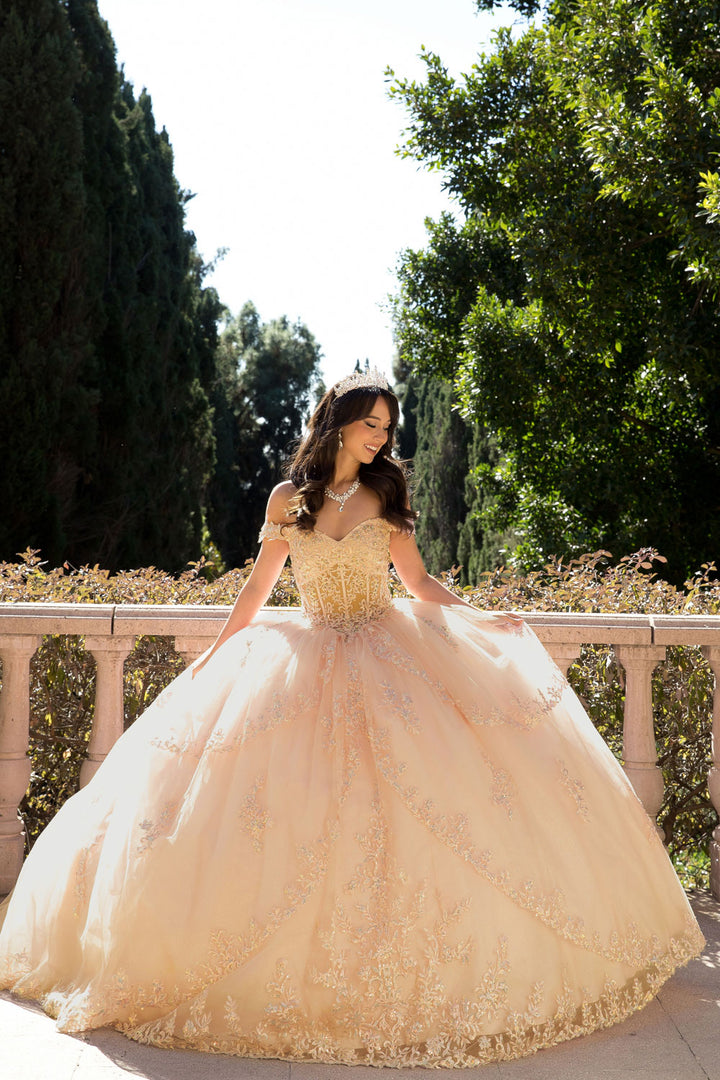 Off Shoulder Corset Ball Gown by Petite Adele PQ1060