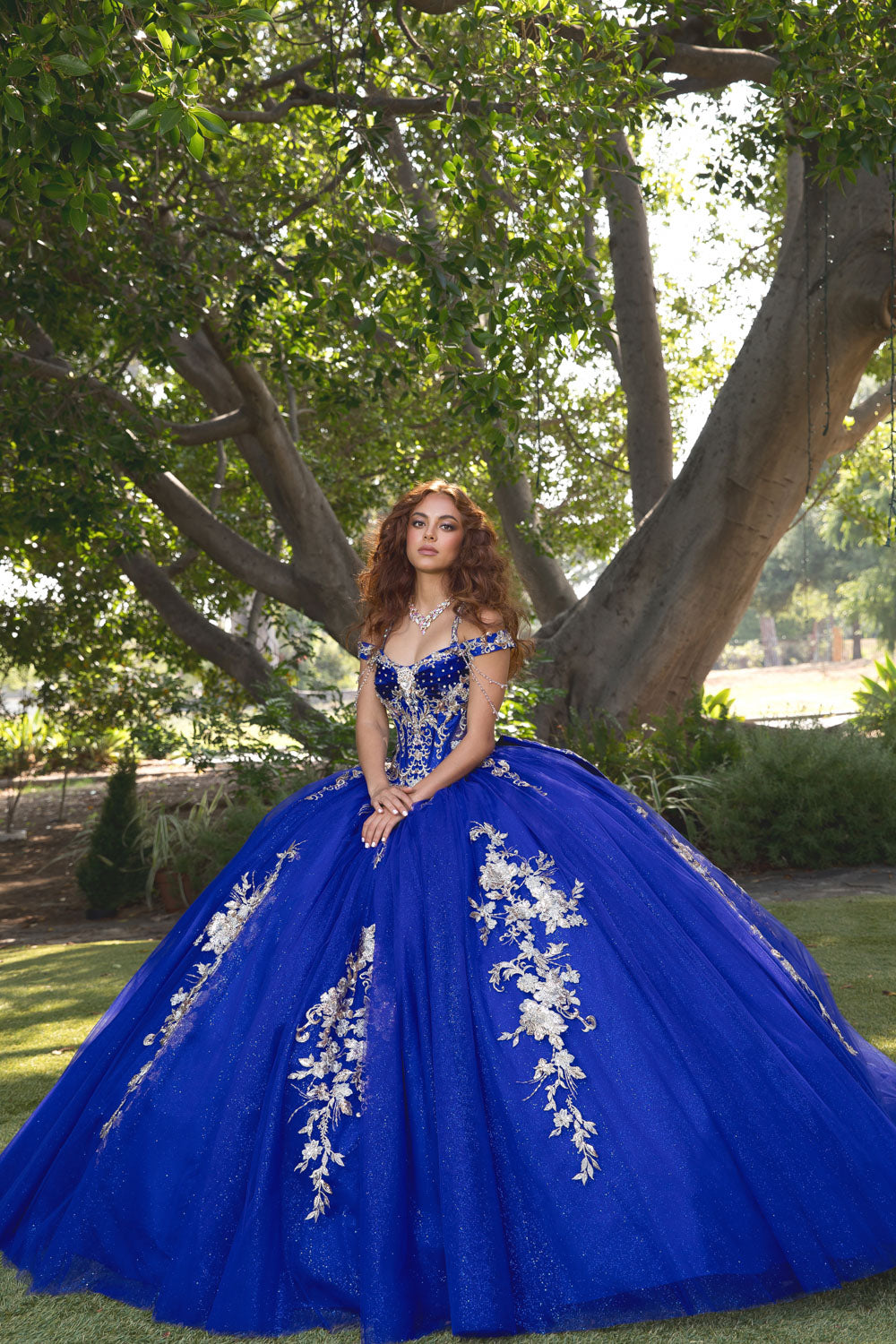 Beaded Off Shoulder Ball Gown by Petite Adele PQ1076