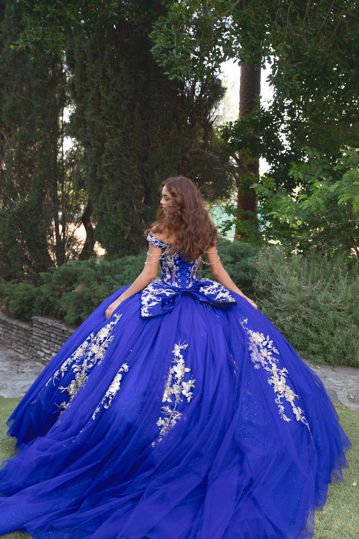 Beaded Off Shoulder Ball Gown by Petite Adele PQ1076