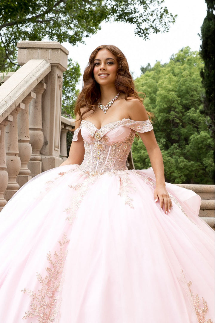 Applique Off Shoulder Ball Gown by Petite Adele PQ1082