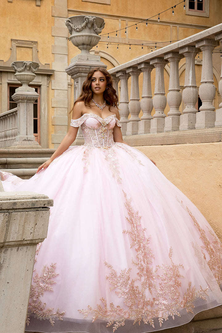 Applique Off Shoulder Ball Gown by Petite Adele PQ1082