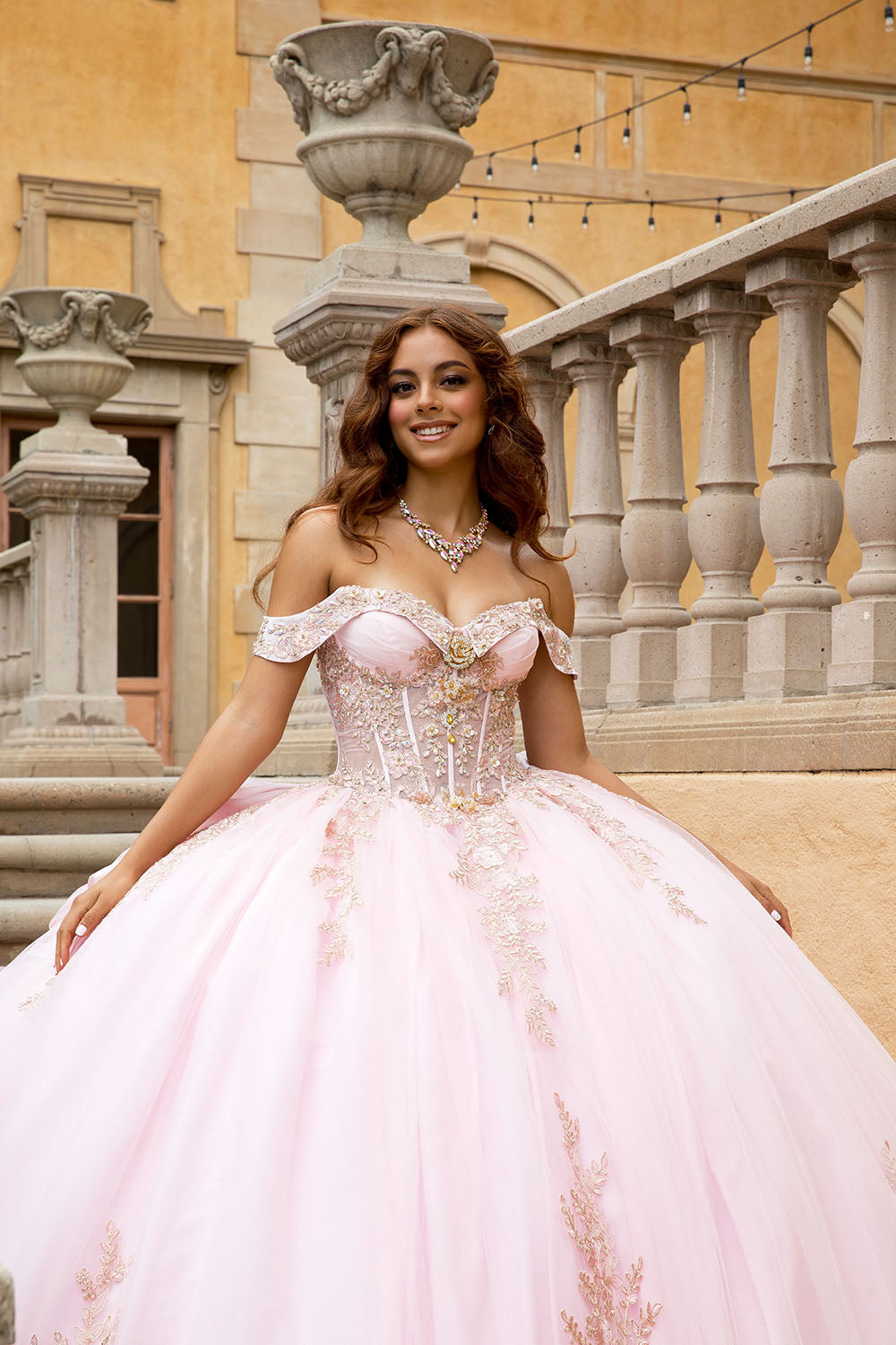 Applique Off Shoulder Ball Gown by Petite Adele PQ1082