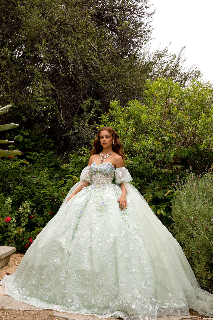 3D Floral Cape Sleeve Ball Gown by Petite Adele PQ1084