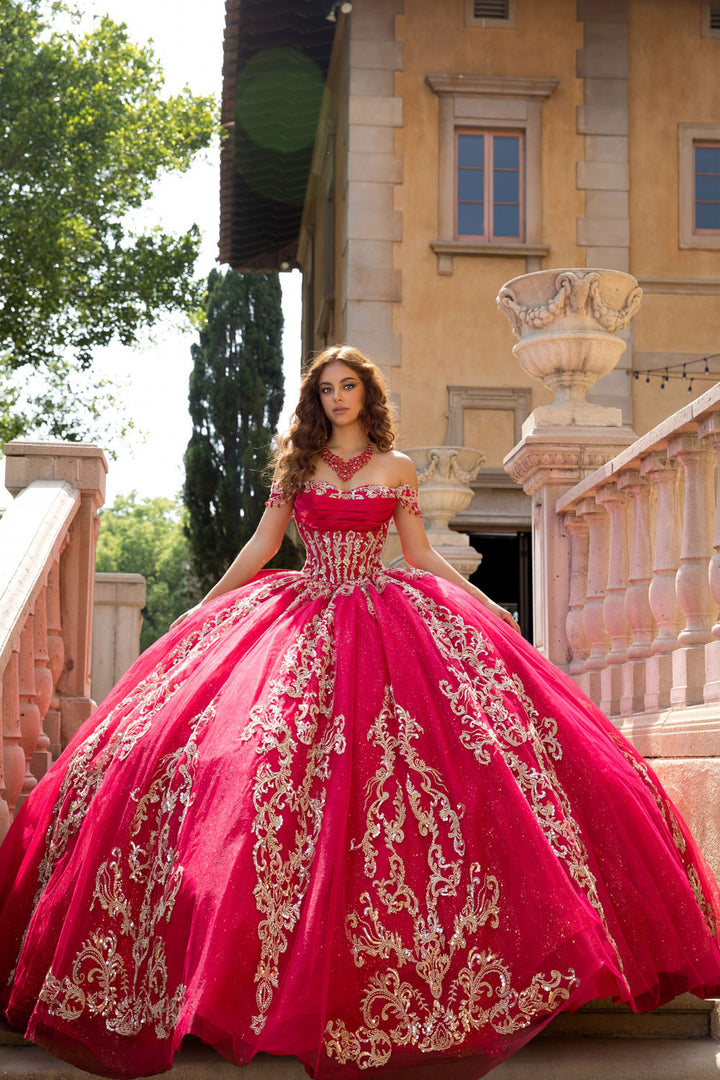 Applique Off Shoulder Ball Gown by Petite Adele PQ1086