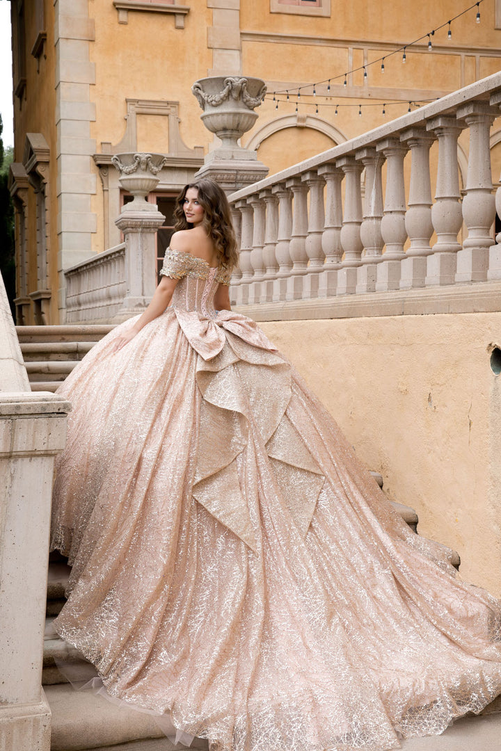 Off Shoulder Corset Ball Gown by Petite Adele PQ1087