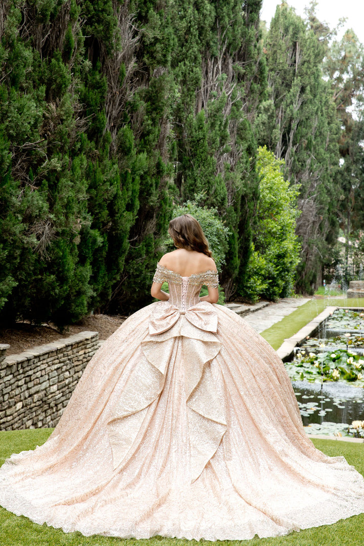 Off Shoulder Corset Ball Gown by Petite Adele PQ1087