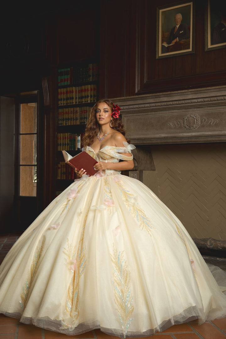 Off Shoulder Corset Ball Gown by Petite Adele PQ1088