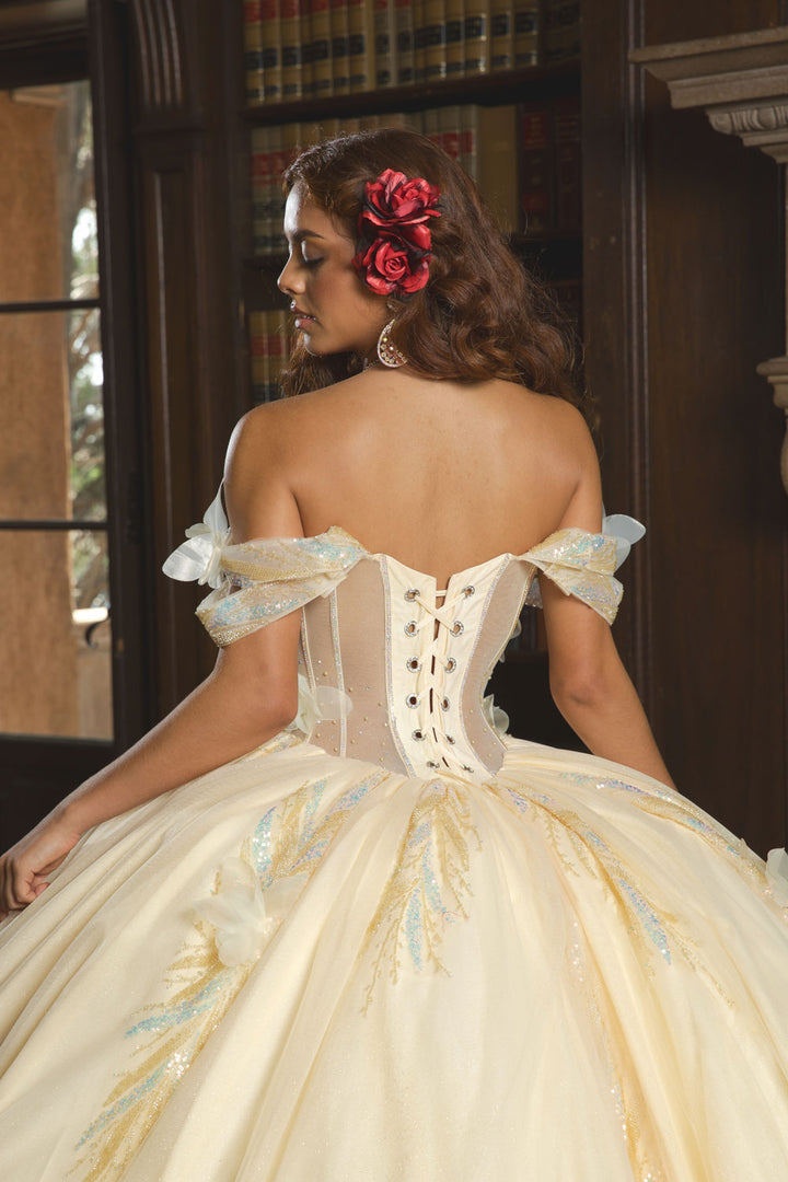 Off Shoulder Corset Ball Gown by Petite Adele PQ1088