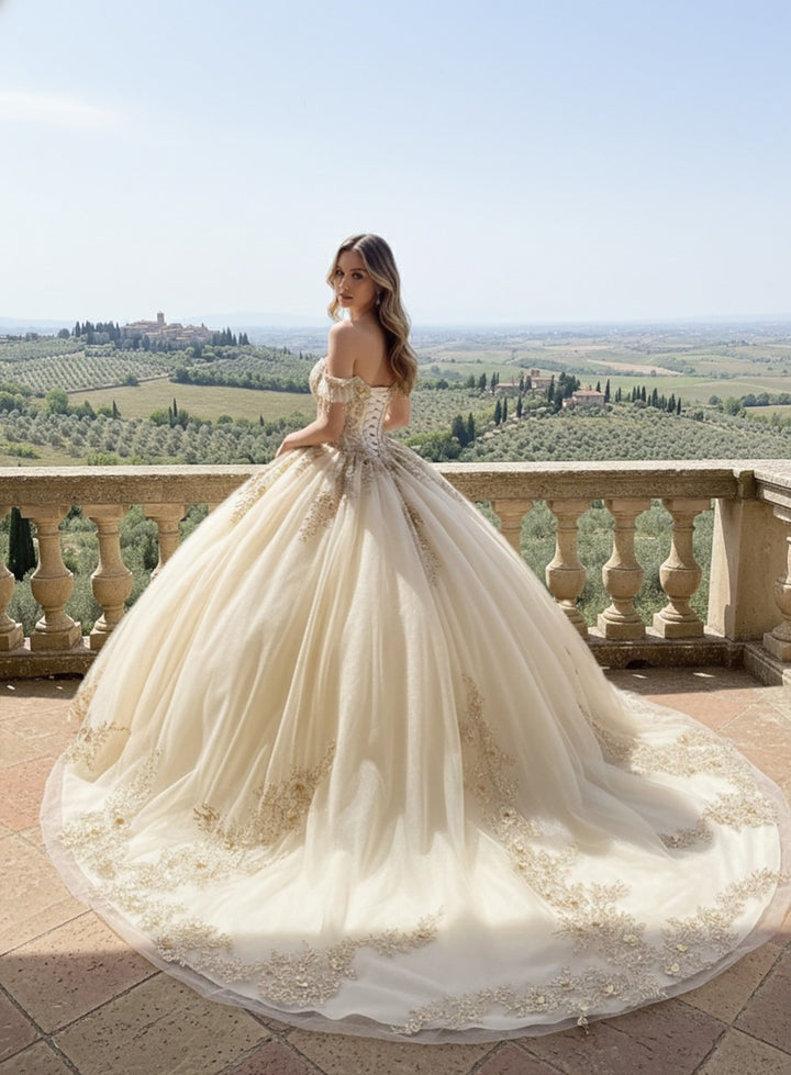 Applique Off Shoulder Ball Gown by Bella Princess PQ1108
