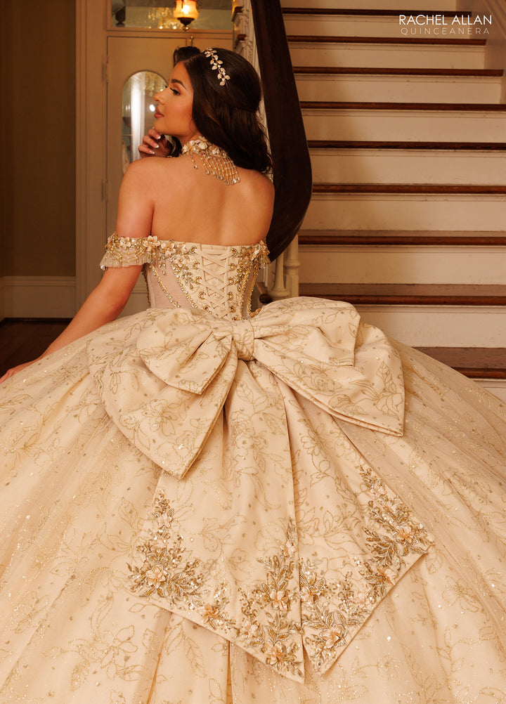 3D Floral Quinceanera Dress by Rachel Allan RQ1192