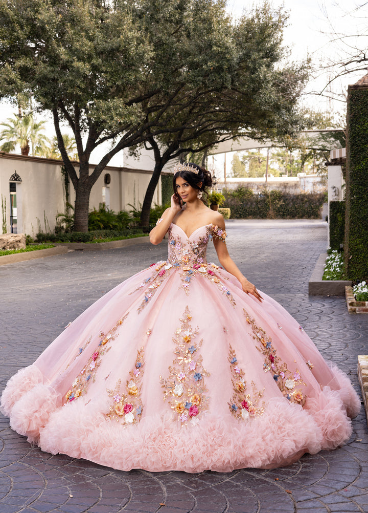 3D Floral Quinceanera Dress by Rachel Allan RQ6000