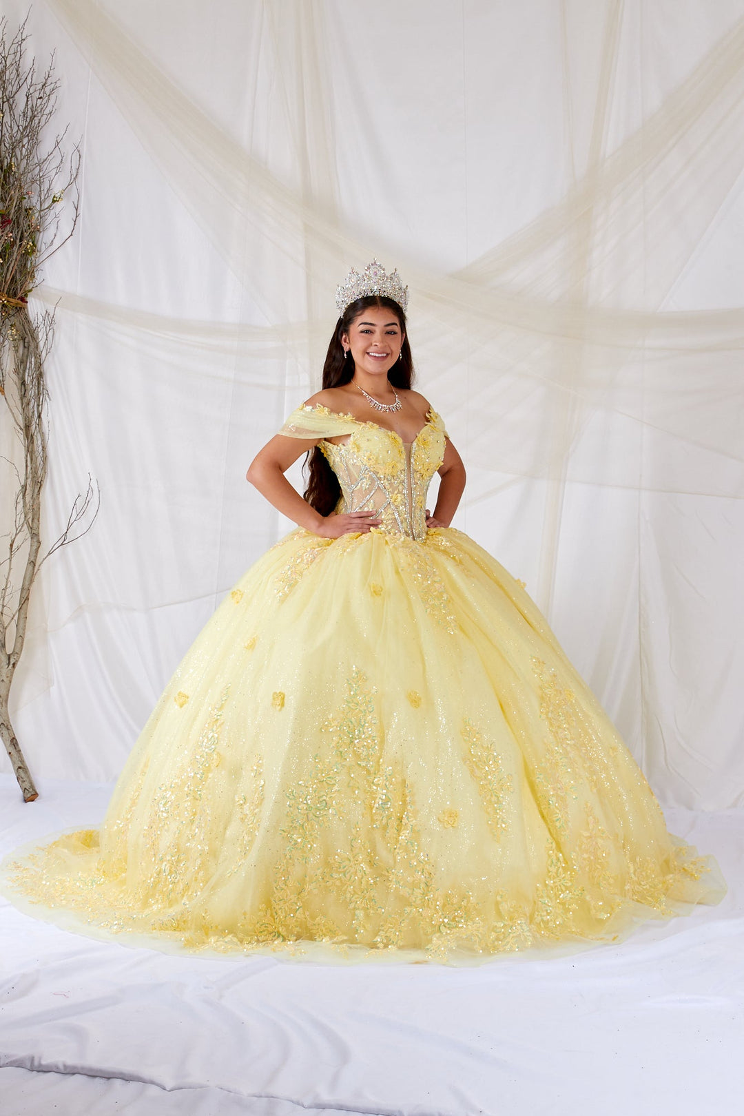 3D Floral Off Shoulder Ball Gown by Calla SCL-30042