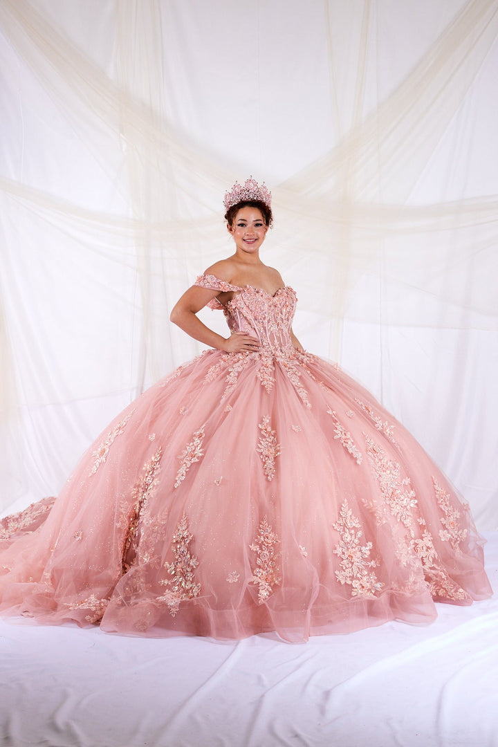 Applique Off Shoulder Ball Gown by Calla SCL-30046