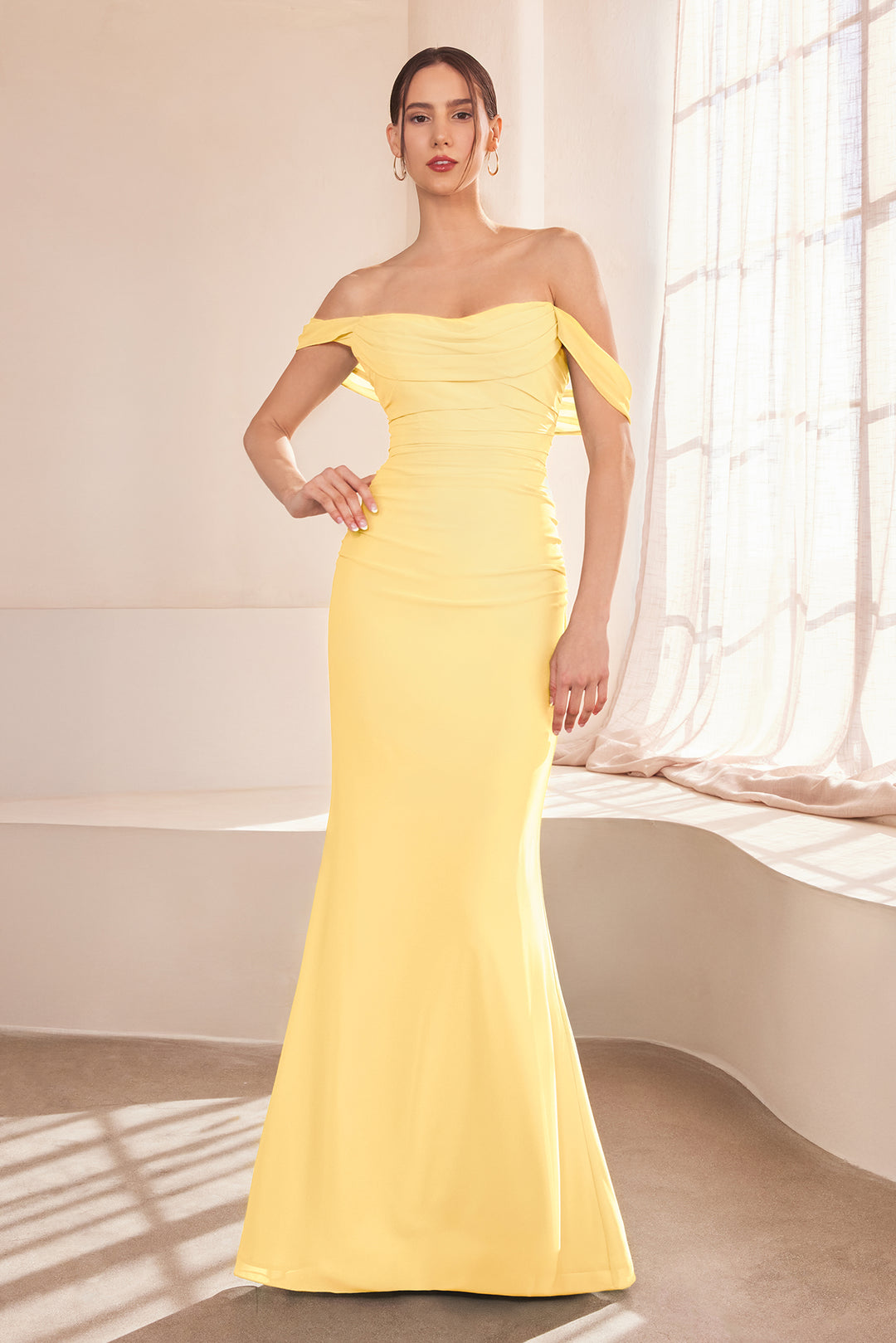 Chiffon Fitted Off Shoulder Gown by Ladivine T705