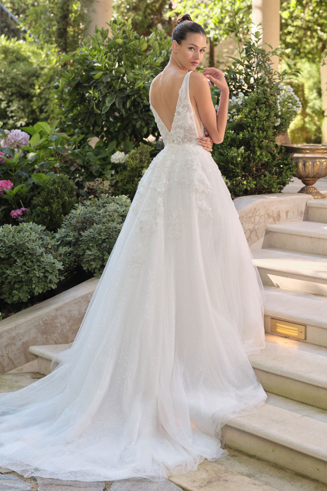 Applique V-Neck Bridal Gown by Ladivine WL064