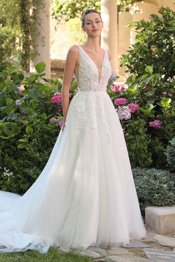 Applique V-Neck Bridal Gown by Ladivine WL064